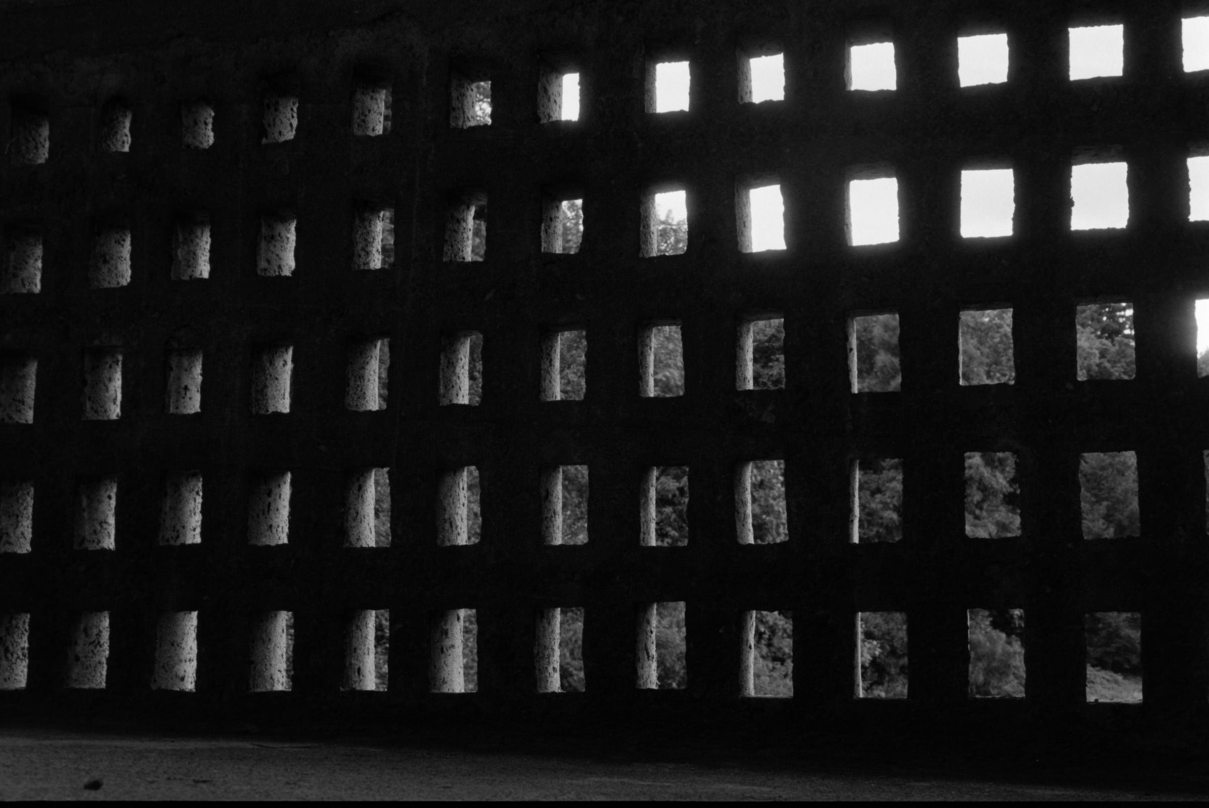 AHP F1993 08 002 sc240823 img03 NLP